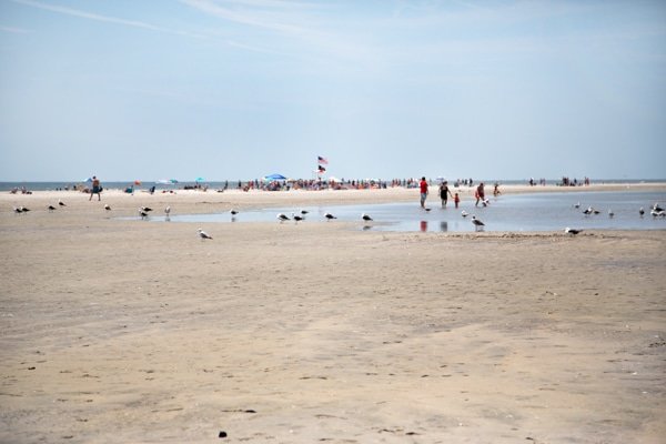 Brigantine Island and my only reason to visit Atlantic City