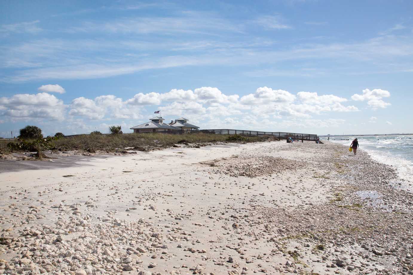 Honeymoon Island a great beach getaway!