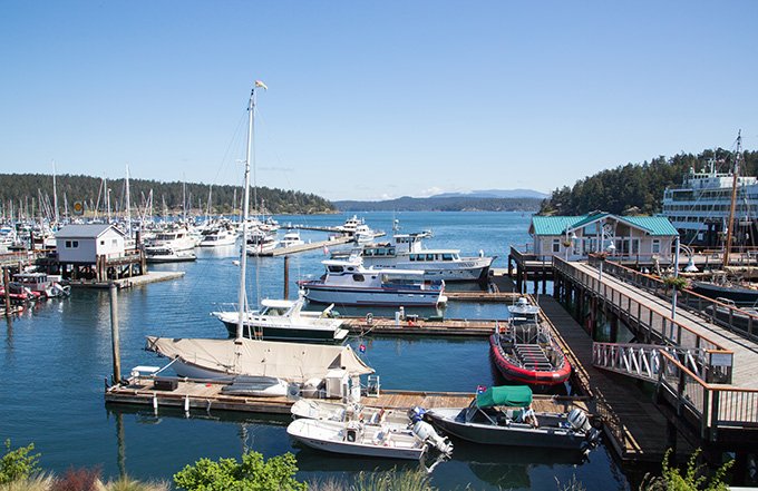 Visit the San Juan Islands for Whale Watching & Fine Dining - Chef Dennis