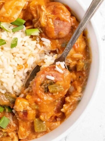 chicken gumbo with rice and a spoon in a white bowl