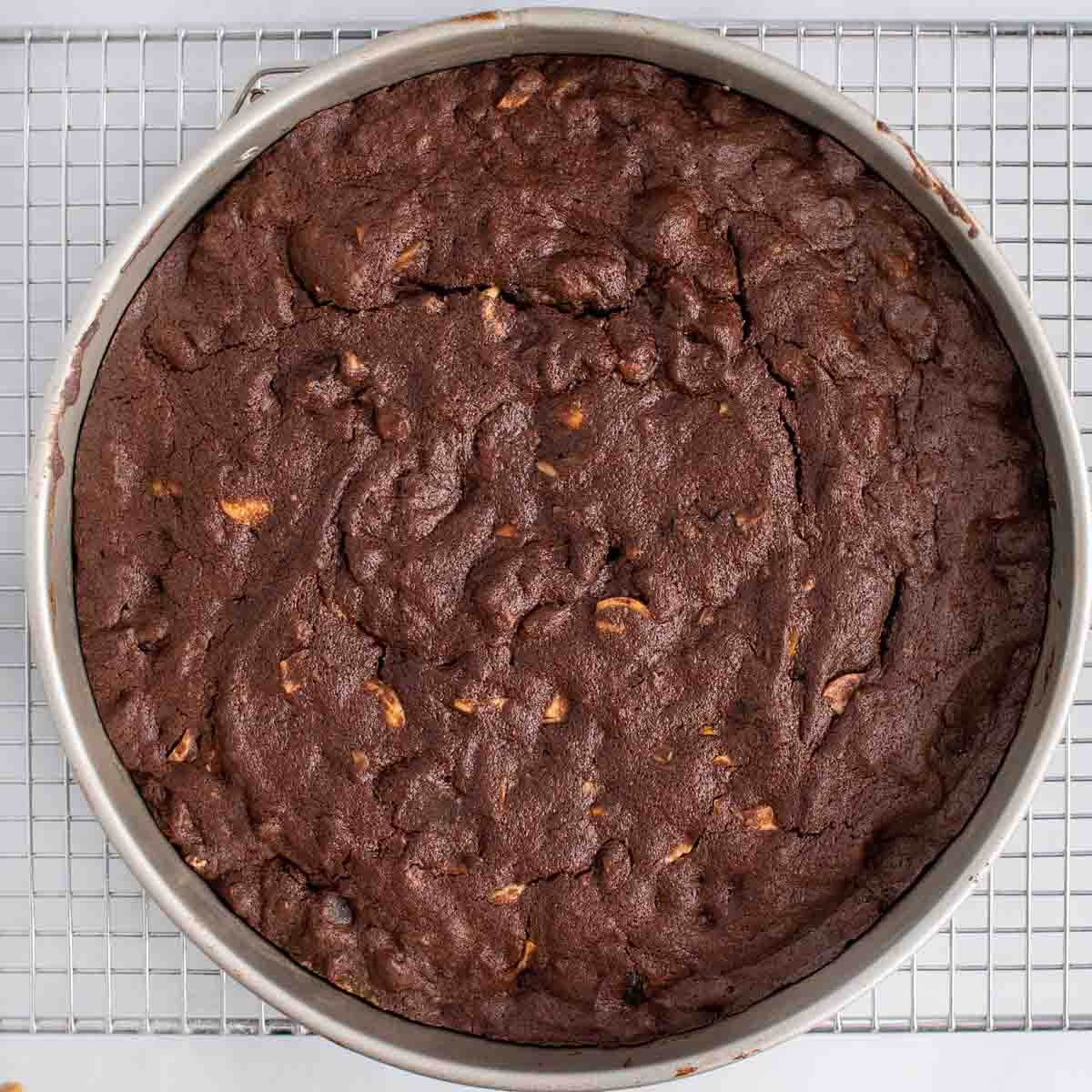 finished chocolate torte in the pan on a wire rack cooling