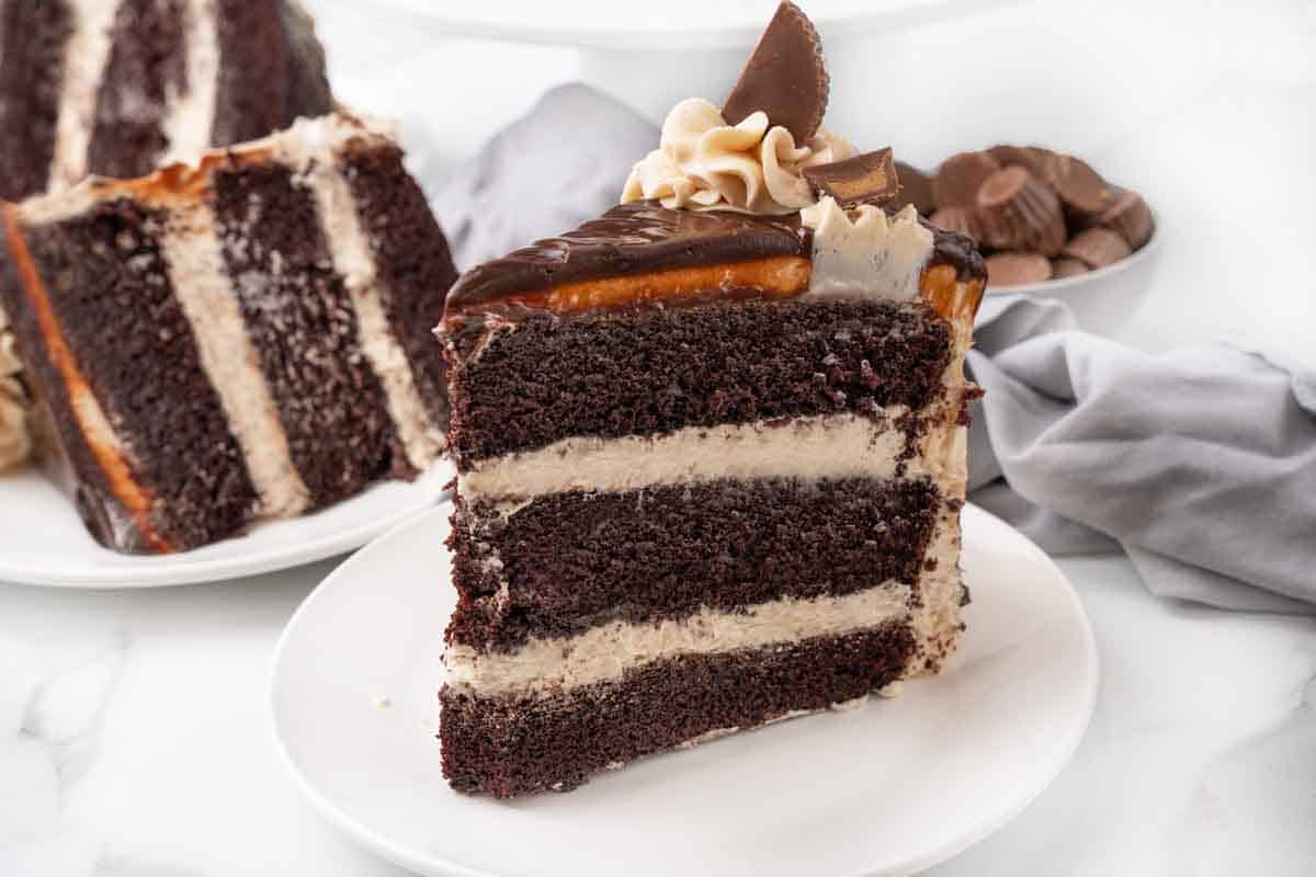 Slice of chocolate peanut butter cake on a white plate.