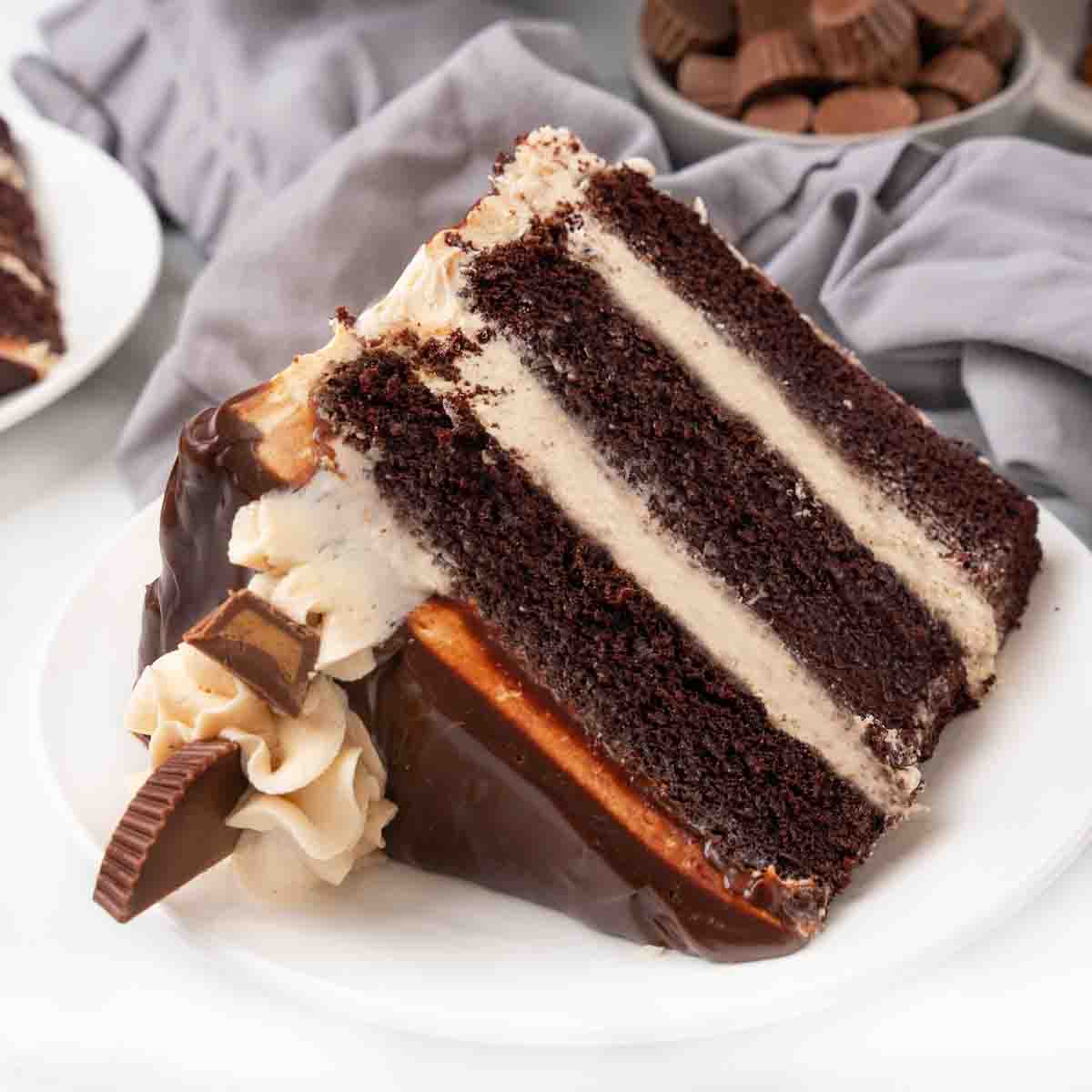 Slice of chocolate peanut butter cake on a white plate.