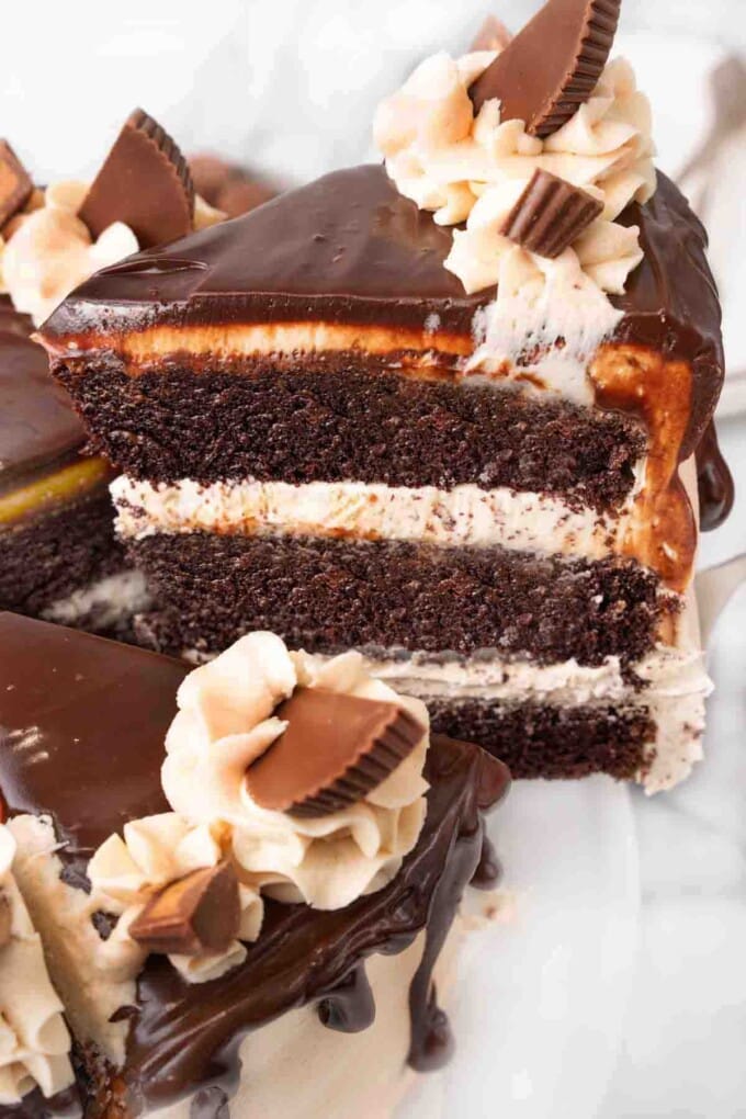 Slice of chocolate peanut butter cake on being taken out of the whole cake.