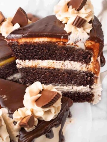 Slice of chocolate peanut butter cake on being taken out of the whole cake.