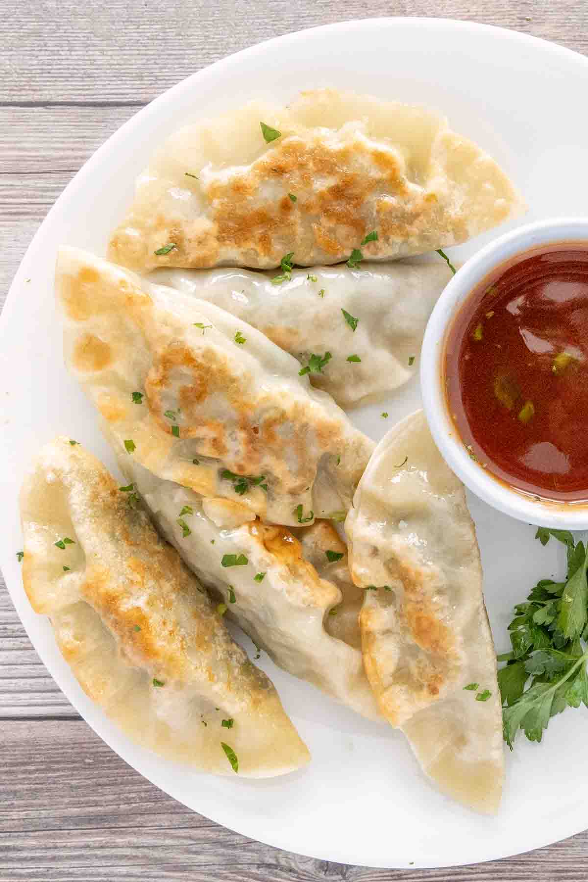 Pot stickers on a white plate with sweet and sour sauce